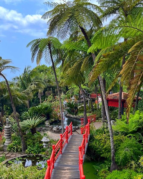 Birthday in Madeira 🌴🌺⁣ ⁣ Just got back from the best birthday trip in Madeira! Such a stunning island with gorgeous gardens, delicious food & plenty of sunshine! ☀️⁣ ⁣ My top 5 highlights that you need to visit:⁣ ⁣ 📍Monte Palace Gardens ⁣ 📍Cabo Girão Skywalk⁣ 📍Ponta de São Lourenço ⁣ 📍Porto Moniz Natural Pools⁣ 📍Cristo Rei⁣ ⁣ Would you visit this tropical island? #visitmadeira #madeira #visitfunchal ✨❤️ Madeira Food, Porto Moniz, Palace Gardens, Palace Garden, Birthday Trip, Funchal, Natural Pool, Tropical Island, Gorgeous Gardens