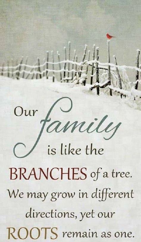 Family ties Family Time Quotes, Quotes Distance, Family Quotes Inspirational, Cousin Quotes, Quotes Family, Family Is Everything, Love My Family, Family Memories, New Quotes