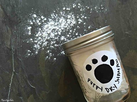 All Natural Dry Shampoo, Dry Shampoo For Dogs, Dog Shampoo Recipe, Diy Dog Shampoo, Natural Dry Shampoo, Dry Shampoo Powder, Dogs Diy Projects, Diy Dry Shampoo, Modern Hippie