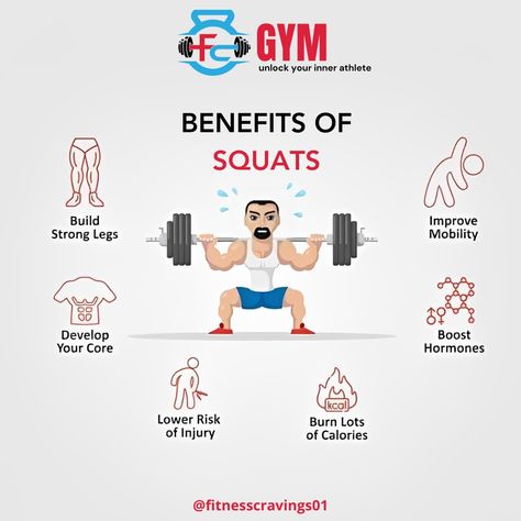 Benefits of Squats! For more details visit our FITNESS CRAVINGS in Vijayawada. #gym #fitness #gymmotivation #fitnessmtivation. Gym Facts, Gym Pic, Benefits Of Squats, Best Gym, Gym Fitness, Pic Ideas, Gym Motivation, Python, Benefits