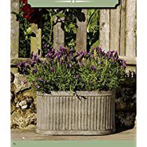 Check this out at Amazon Large Terracotta Planters, Metal Flowers Garden, Windowsill Garden, Garden Labels, Pot Garden, Barrel Planter, Metal Barrel, Garden Arches, Flower Pot Garden