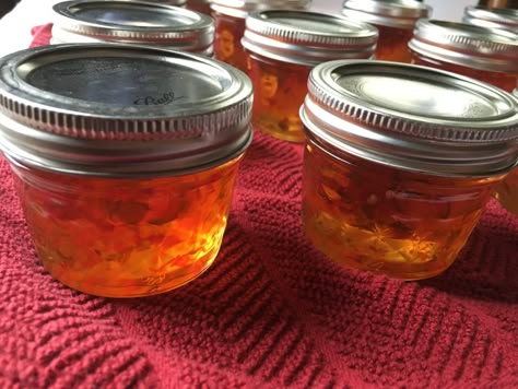 Serrano Pepper Jelly Recipe, Serrano Pepper Recipes, Habanero Recipes, Pepper Jelly Recipe, Canning Peppers, Pepper Jelly Recipes, Serrano Peppers, Pressure Canning Recipes, Hot Pepper Jelly