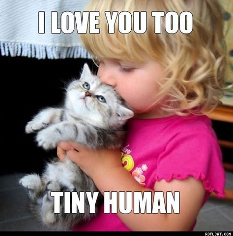 I love you too tiny human. I Love You Too, Love You Too, Söt Katt, Cat Person, Cute Kittens, Crazy Cat, Recycled Crafts, Crazy Cat Lady, 귀여운 동물