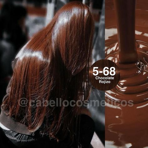 CabelloCosmeticos | ¿QUÉ TONO PREFIERES 5-68 o 5-7?❤️🤩 🧡 8-77 Rubio Claro Cobrizo Intenso 🧡 9-7 Rubio muy claro Cobrizo 🧡 7-77 Rubio Medio Cobrizo… | Instagram Igora Royal Chocolate Brown, 8.34 Hair Color, Rubio Chocolate, Igora Hair Color, Igora Vibrance, Brown Hair Looks, Cherry Brown, Hair Color Caramel, Hair Color Formulas