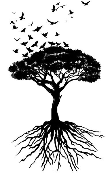 Beauty. Smaller roots, but like this to cover my side tattoo. Love this. Family Tree Drawing, Bird Tattoos Arm, Tree Tattoo Arm, Tattoo Son, Oak Tree Tattoo, Tattoo Tree, African Tree, Family Tree Tattoo, Tree Tattoo Designs