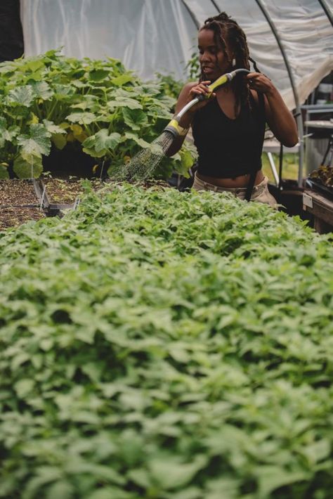 All Things Black Women on Twitter: "Black girls with gardens.… " Scandinavian Beauty, All Things Black, Female Farmer, Cash Crop, Urban Farmer, Permaculture Gardening, Nourishing Foods, Garden Girls, Community Gardening