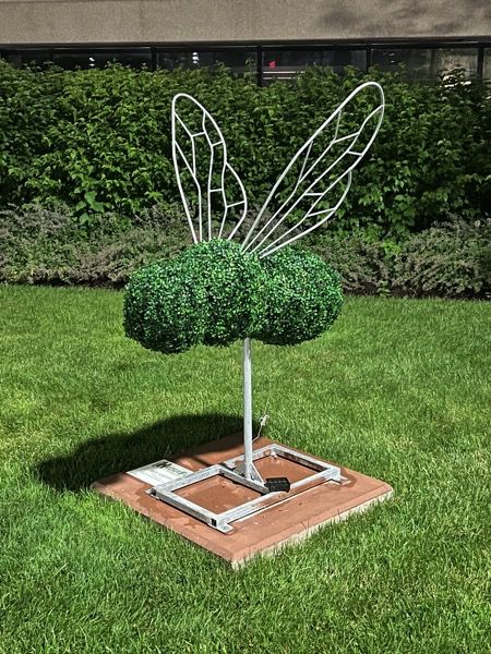 Pom Pom Topiary, Wire Topiary Frames Diy, Dog Topiary, Topiary Animals, Topiary Frames, Topiary Forms, Topiary Shapes, Topiary Ideas, Spiral Topiary