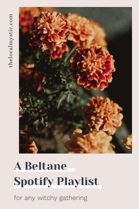 Our Beltane playlist for this month captures the blossoming glee of summer, perfect for Beltane energy! beltane playlist, beltane energy, how to celebrate beltane, beltane songs, beltane energy, beltane aesthetic, beltane vibes Beltane Aesthetic, Celebrate Beltane, Small Garden Design Ideas, Honey Lemonade, Wiccan Rede, Modern Mystic, Wine Candles, Roof Ideas, Playlist On Spotify