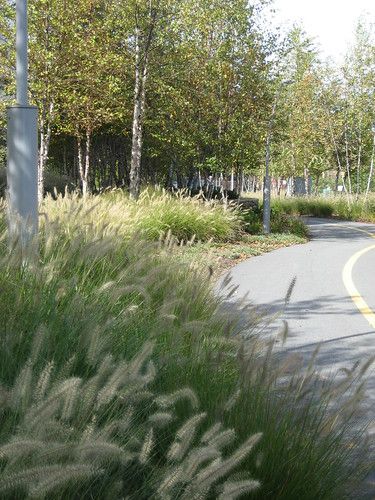 Planting Grass, Bike Path, Landscape Architecture, Landscape Design, Holland, Cycling, Stairs, Country Roads, Bike