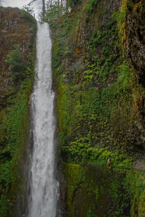 Travel to the heart of the Columbia River Gorge and hike to a magical spot where you walk through a moss covered cave behind a waterfall. Journey to Tunnel Falls in Oregon and see why so many people are talking about this hike. Get your complete guide to the Tunnel Falls trail here including what to expect, the best time to go, and tips for packing! You will be in awe of this magical landscape in the lush Oregon forest. So, add this trail to your bucket list. Trail Of Ten Falls Oregon, Trail Of Ten Falls, Behind A Waterfall, Tunnel Falls Oregon, Tunnel Falls Oregon Hike, Multnomah Falls Oregon, Big Island Waterfall Hikes, Magical Landscape, Oregon Forest