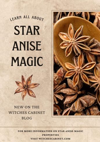 How to work with star anise magic properties in the kitchen and in ritual. Anise Magical Properties, How To Make Anise Extract, How To Use Star Anise, Star Anise Magical Properties, Star Anise Recipes, Anise Recipes, Anise Candy, Sindhi Food, Kitchen Witchcraft