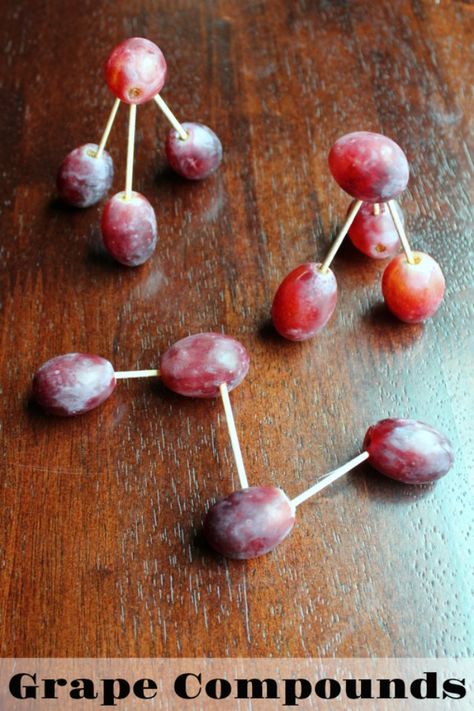 Grape compounds are a fun treat for a science themed party Science Experiment Birthday Cake, Health Science Graduation Party, Chemistry Food Ideas, Oppenheimer Themed Party, Chemistry Themed Food, Brain Themed Party, Lessons In Chemistry Book Club Food Ideas, Science Themed Desserts, Biology Party Decorations