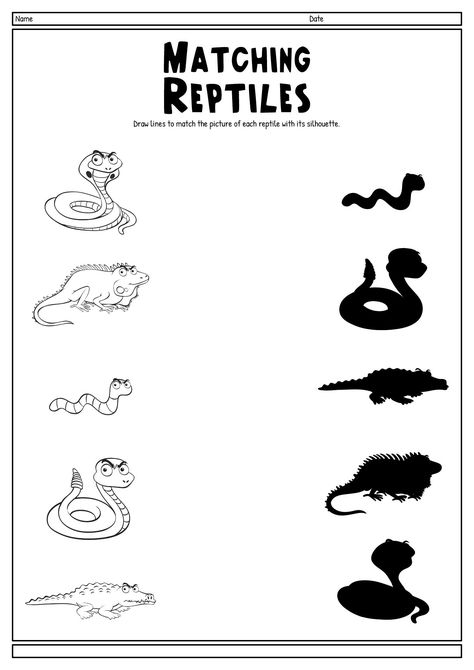 Rainforest Animal Activities, Reptile Kindergarten Activities, Reptiles Worksheets For Preschool, Reptile Worksheets Free Printable, Reptiles Worksheets For Kindergarten, Reptiles Preschool Free Printables, Reptiles Theme Preschool Activities, Rainforest Worksheets Preschool, Reptile Worksheets Preschool