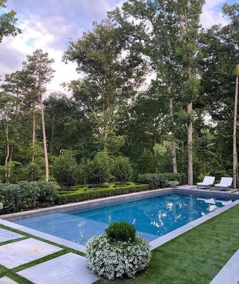 House Rendering, Concrete Pool Deck, Square Pool, Inground Pool Landscaping, Pool Pavers, Pools Backyard Inground, Concrete Pool, Inspiring Photos, Backyard Remodel