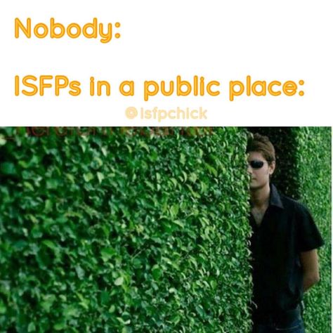 Isfp Memes Funny, Isfp T Personality, Isfp Quotes, Isfp Personality Aesthetic, Isfp Vibes, Isfp Things, Isfp Core, Isfp Memes, Isfp Aesthetic