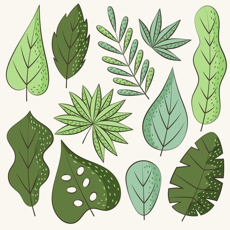 Hand drawn green leaves | Free Vector #Freepik #freevector #leaf Different Leaf Shapes, Green Leaves Drawing, Animated Leaves, Cartoon Leaves, Door Paintings, Leaves Cartoon, Leaf Cartoon, Super Monsters, Camping Pattern