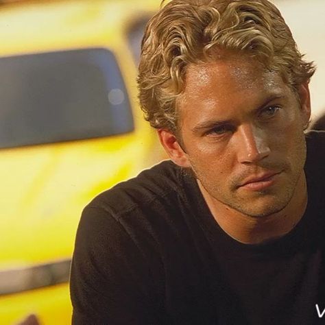 Meadow Walker, Brian Oconner, Paul Williams, The Fast And The Furious, Actor Paul Walker, Fast And The Furious, Zak Bagans, Paul Walker Pictures, Furious Movie