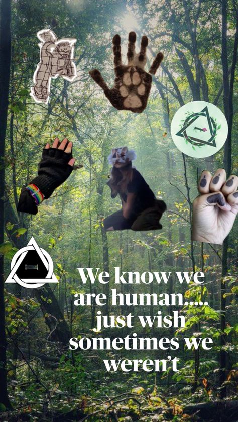 This is about Therians Therian Background, Fox, Human, Collage, Quotes, Animals