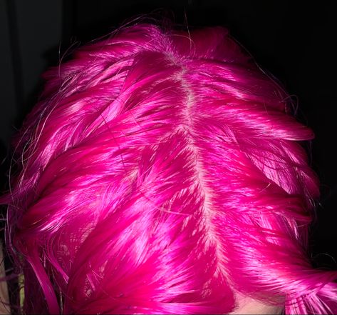 Pink Hair Grunge, Neon Pink Hair, Bright Pink Hair, Hot Pink Hair, Dyed Hair Inspiration, Pretty Hair Color, Dye My Hair, Hair Dye Colors, Hair Inspiration Color