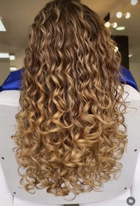 Wavy Perm Medium Hair, Dark Blonde With Strawberry Highlights, Honey Caramel Highlights On Curly Hair, Dark Blonde Curly Hair With Highlights, Caramel Highlights On Brown Hair Curly, Carmel Blonde Curly Hair, Blonde Curly Hair With Highlights, Brown Hair Highlights Curly, Natural Brown Curly Hair