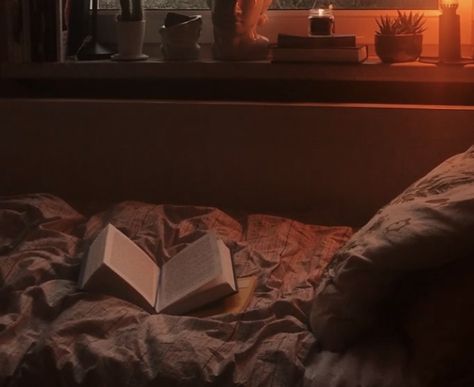 Cozy Reading, Cozy Room