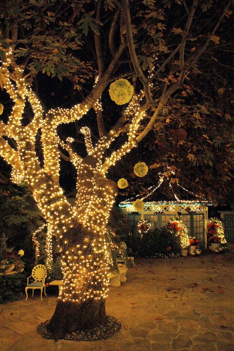 halloween tree lights - Google Search Outdoor Lighting Ideas Backyards, Lights Outdoors, Hanging Tea Lights, Farmhouse Style Lighting, Secret Party, Mobile Coffee, Garden Wallpaper, Party Garden, Backyard Lighting