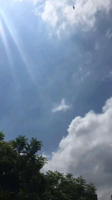 Clouds Timelapse Video, Sky Timelapse Videos, Sunshine Video, Cloud Timelapse, Sky Timelapse, Sky Videos, Sunrise Photography Nature, Nature Photography Sky, Nature Photography Quotes