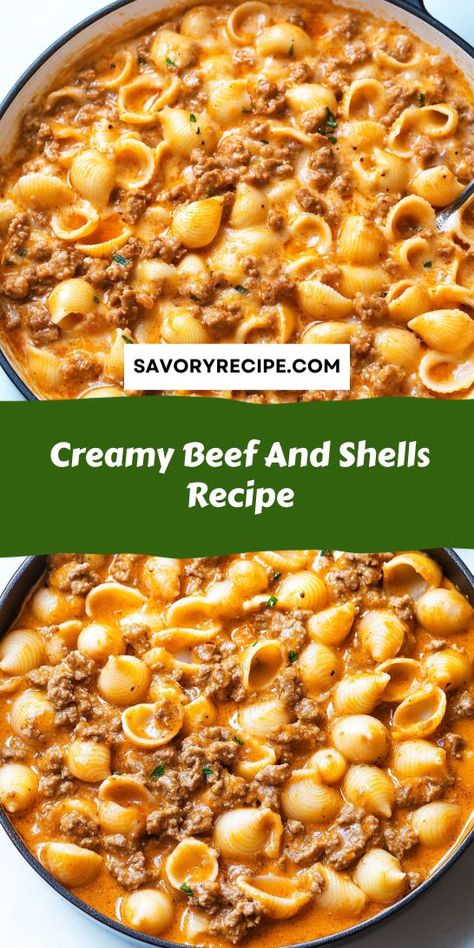 Satisfy your cravings with our Creamy Beef and Shells Recipe! This delightful meal features seasoned ground beef and pasta shells enveloped in a velvety sauce. Ideal for family dinners, this recipe is a delicious addition to your Ground Beef Recipes collection, promising comfort and flavor in every bite! Creamy Ground Beef And Shells, Creamy Beef And Shells Casserole, Cream Cheese And Beef Recipes, Shell Pasta Dinner, Easy Beef And Shells, Creamy Beefy Shells, Ground Beef Shells Recipes, Cheesy Beef Shells, Ground Beef Shell Pasta