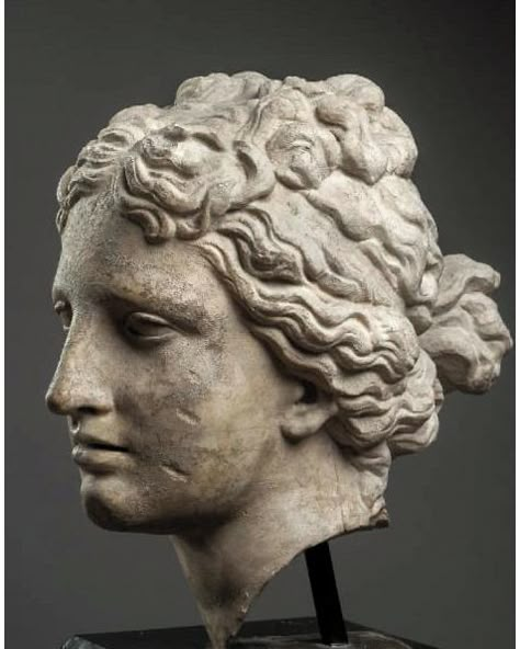 Roman Statues, Ancient Greek Goddess, Roman Busts, Goddess Aphrodite, Ancient Greek Sculpture, Hellenistic Period, Roman Statue, Sculpture Head, Classic Sculpture