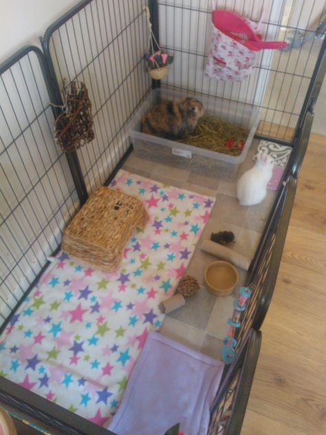 Neji + Luna's cage ~ Indoor rabbit set up Tapsi Hapsi, Indoor Rabbit House, Indoor Rabbit Cage, Diy Guinea Pig Cage, Rabbit Pen, Rabbit Stuff, Rabbit Habitat, Guinea Pig Hutch, Pet Rabbit Care