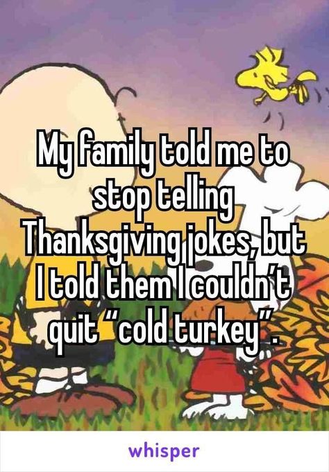 Funny Thanksgiving Pictures, Turkey Jokes, Thanksgiving Jokes, Georgia Us, Holiday Jokes, Fall Humor, Family Jokes, Thanksgiving Pictures, Thanksgiving Images