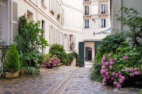 Parisian Courtyard, Paris Townhouse, City Sketches, House In Paris, City Sketch, Small Courtyards, Garden Landscape, Courtyard Garden, Small Gardens