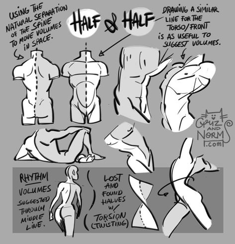 Tuesday Tips - Half and Half A technique I apply... - GRIZandNORM Normand Lemay, Griz And Norm, Tuesday Tips, Character Drawings, Anatomy Tutorial, Art Advice, Human Figure Drawing, Anatomy Sketches, Half Body