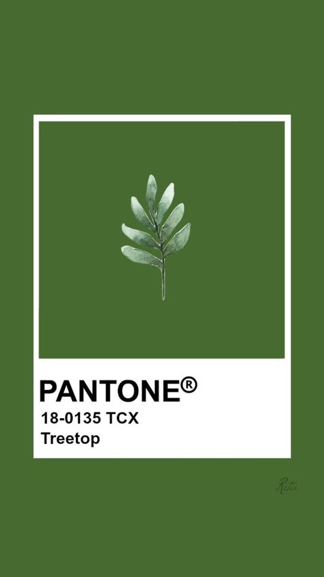 #pantones #pantone #tree #top #treetop #swatch #colour #paint #art #green #forest #leaf #aesthetic Leaf Green Pantone, Pantone Paint, Top Paint Colors, Brown House, Leaf Texture, Cross Paintings, Leaf Coloring, Tree Tops, Tea Leaves