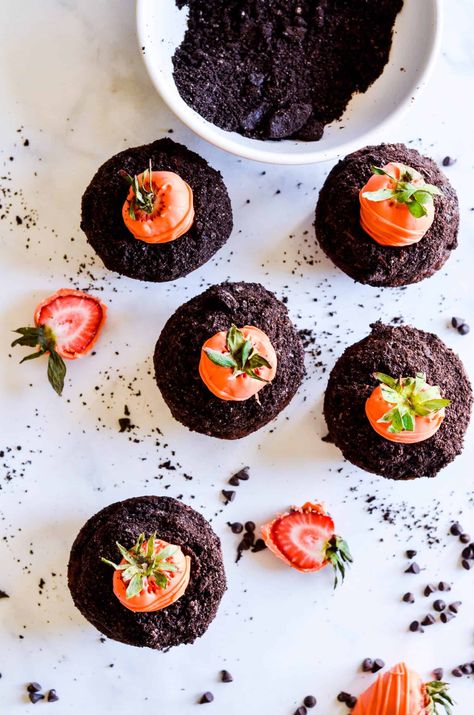 Chocolate cupcakes with whipped chocolate ganache dipped in Oreo crumbs and topped with a candy coated strawberry (that looks like a carrot!). These dirt cupcakes are perfect for springtime! Dirt Cupcakes, Easter Cupcake Recipes, Chocolate Dirt, Easter Basket Cupcakes, Sheep Cupcakes, Cotton Candy Cupcakes, White Chocolate Covered Strawberries, Whipped Chocolate Ganache, Egg Cupcakes