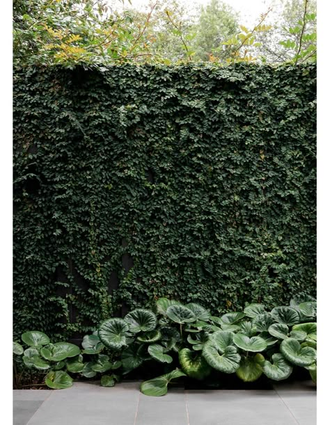 Gardening Wallpaper, Gardener Aesthetic, Tattoo Garden, Garden Nails, Garden Tattoo, Aesthetic Garden, Garden Aesthetic, Ideas Garden, Courtyard Garden