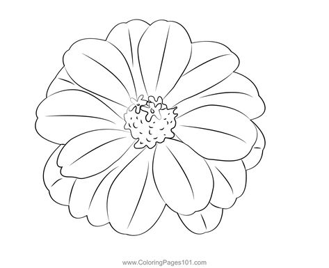 Zinnia Flower Coloring Page Zinnia Flowers Tattoo Simple, Big Flower Sketch, Zinnia Line Drawing, Zinnia Drawing Simple, Zinnia Flowers Tattoo, Zinnia Flowers Drawing, Zinnia Drawing, Flower Stencils, Zinnia Flower