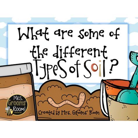 Types Of Soils, Soil Activities, Grade 3 Science, Grooms Room, Second Grade Science, 1st Grade Science, First Grade Science, Third Grade Science, 4th Grade Science