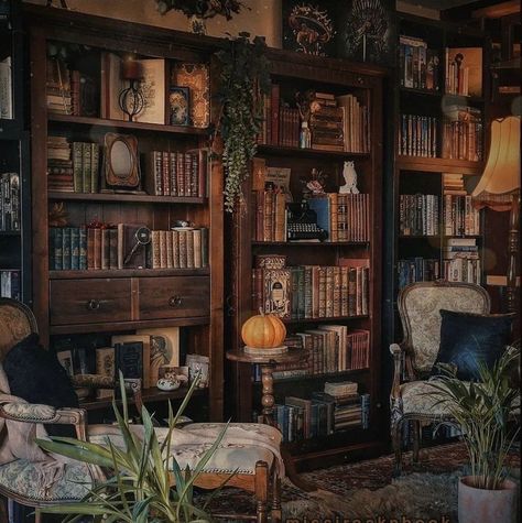 Home Library Aesthetic, Beautiful Home Library, Dark Academia Interior, Dark Academia Home, Dark Academia Room, Cozy Home Library, Dark Academia Decor, Library Aesthetic, Dark Home Decor