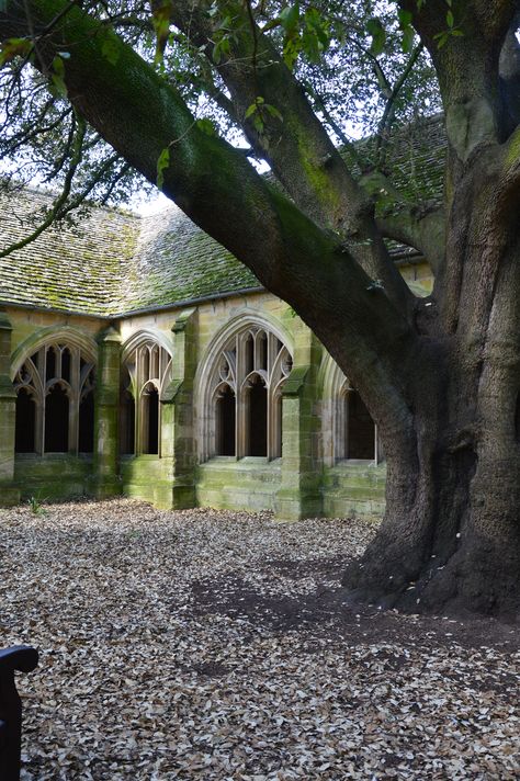 Oxford Harry Potter Locations, Oxford University Harry Potter, Harry Potter Oxford, Harry Potter Shifting, Hogwarts Room, Harry Potter Places, Harry Potter Locations, Harry Potter London, Harry Potter School