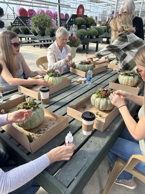 Grab your friends and sign up for our Succulent Pumpkin workshop--while spots are available! This unique hands-on class is always a fun time, and you will learn so much about the care and propagation of succulents too! Check out our fall line up in our bio, or comment with a 🍂 and we will DM a link! Succulent Pumpkin, Happy People, Healthy Plants, Good Times, Plants