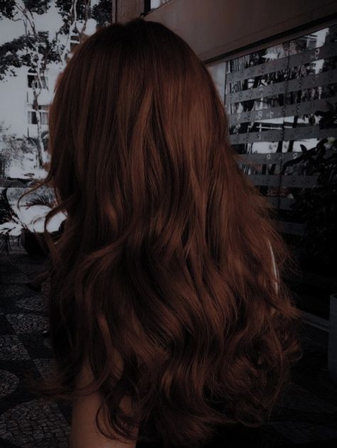 Dark Chestnut Brown Hair, Chocolate Red Hair, Chocolate Auburn Hair, Dark Chestnut Hair, Dark Brown Hair Rich, Apocalyptic Aesthetic, Brown Auburn Hair, Mahogany Brown Hair, Rich Brown Hair