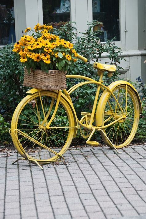 My Latest Obsession | SewMod Flower Bike, Upcycle Garden, Old Bicycle, Old Bikes, Decoration Originale, Black Eyed Susan, Yellow Aesthetic, Mellow Yellow, Happy Colors