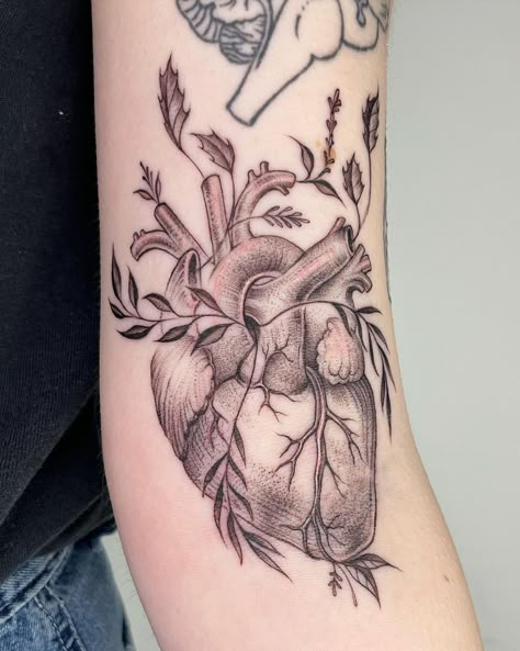 Willow Harrah Tattoo on Instagram: “A botanical heart for Danny in the ditch, thank you thank you!! (And they sent me awesome healed pictures!! The pictures are a little over…” Anatomical Heart Tattoos, Human Heart Tattoo, Tree Branch Tattoo, Disney Sleeve Tattoos, Anatomical Heart Tattoo, Vine Tattoos, Heart Tattoos, Heart Tattoo Designs, Flowers Tattoo