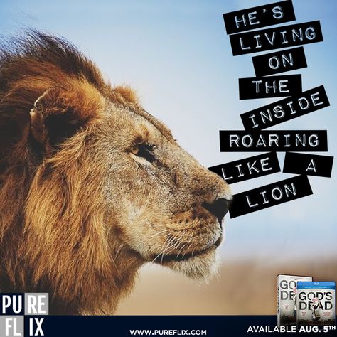 Encouragement - He's living on the inside roaring like a lion - Pure Flix - Christian movies - Christian Quotes - #ChristianQuotes #Roaring #Lion #Newsboys #GodsNotDead #PureFlix #ChristianMovies www.PureFlix.com