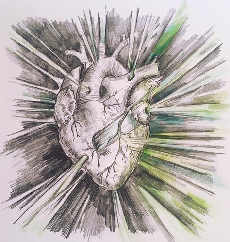 Artist - LOELLI Anatomical Heart Drawing, Heart Drawing, Heart Painting, Medical Art, Anatomical Heart, Drawing Prints, Heart Art, Funny Art, Giclee Art