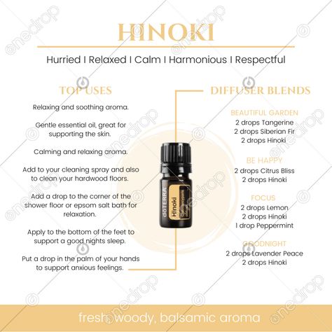 Hinoki Doterra, Doterra Hinoki, Hinoki Essential Oil Blends, Hinoki Diffuser Blend, Hypothyroid Essential Oil Blend, Sandalwood Essential Oil Diffuser Blends, Hawaiian Diffuser Blend, Hinoki Essential Oil, Essential Oil Perfumes Recipes