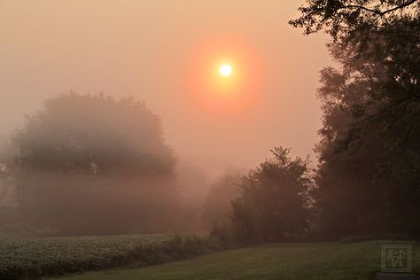 Foggy Sunrise Aesthetic, Winter Foggy Morning, Morning Fog Aesthetic, Romanticise Winter, Foggy Morning Aesthetic, Crisp Autumn Morning, Forest Sunrise, Foggy Sunrise, Rural Photography