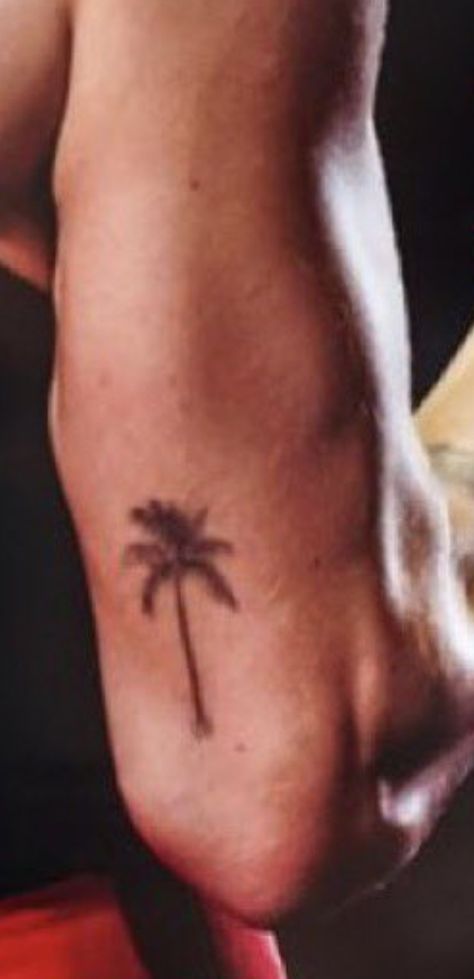 Harry Styles Palm Tree Tattoo, Palm Tattoos, Palm Tree Tattoo, King Of My Heart, Tree Tattoo, Tattoo Inspo, Heart Soul, Maple Leaf Tattoo, Palm Tree