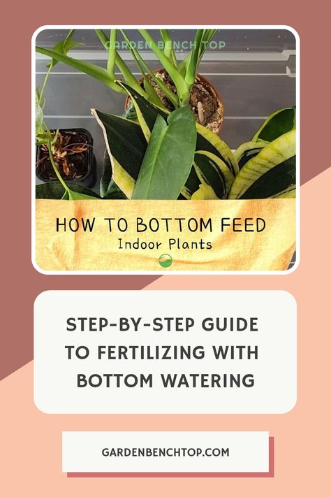 A step-by-step guide in bottom feeding plants using the bottom watering method. Learn how to reap the benefits of bottom watering. Find out more inside. Bottom Watering, Root Structure, Watering Plants, Clear Plastic Containers, Fertilizer For Plants, Plant Guide, Rain Water Collection, Liquid Fertilizer, Garden Bench